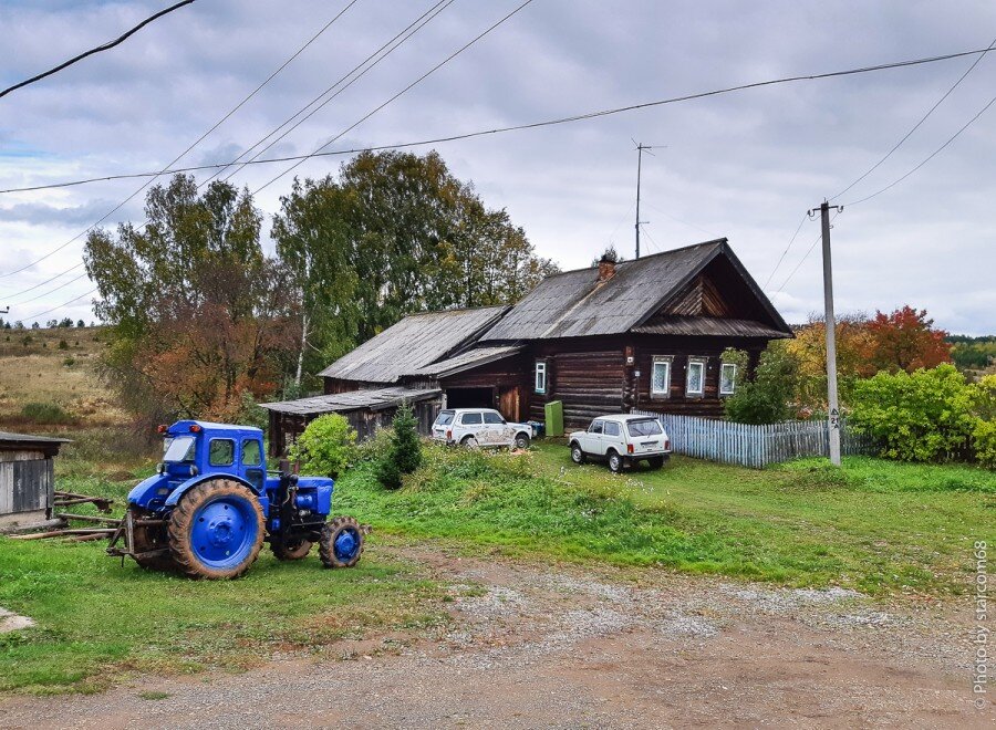 Две Белки шепчутся о чем-то своем. Наверное меня обсуждают.