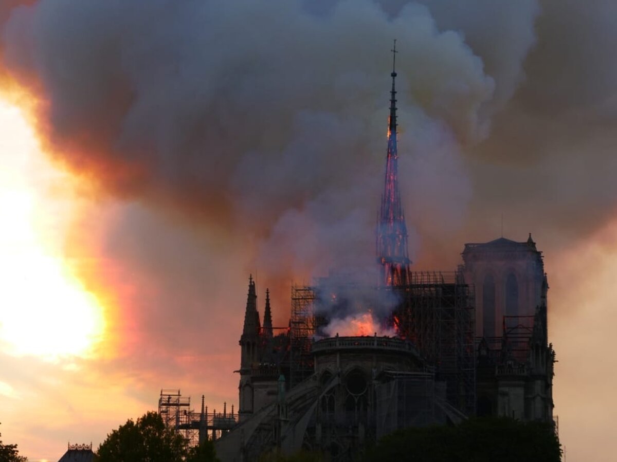 Фото: Vernerie Yann / Shutterstock.com