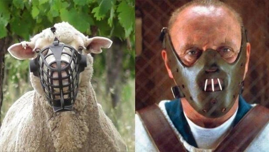 Нууу очень интересно