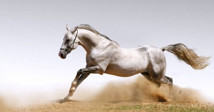 энергетический прогноз на 1 октября