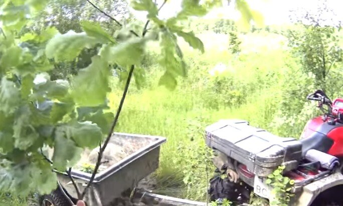 Не забудьте поставить ЛАЙК и ПОДПИСАТЬСЯ НА КАНАЛ