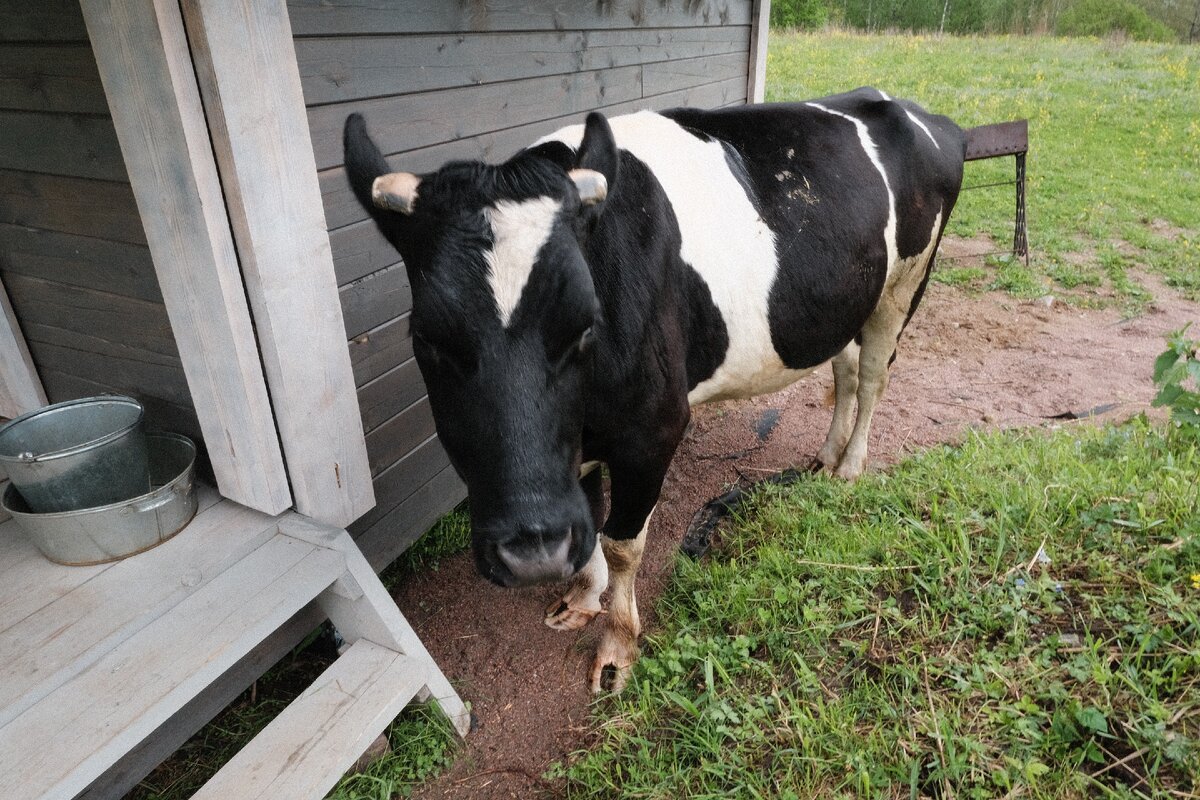 Спойлер: на фото один из главных героев истории