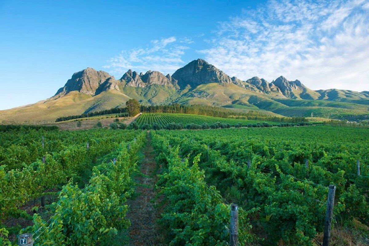 Фото из фейсбука Shiraz SA