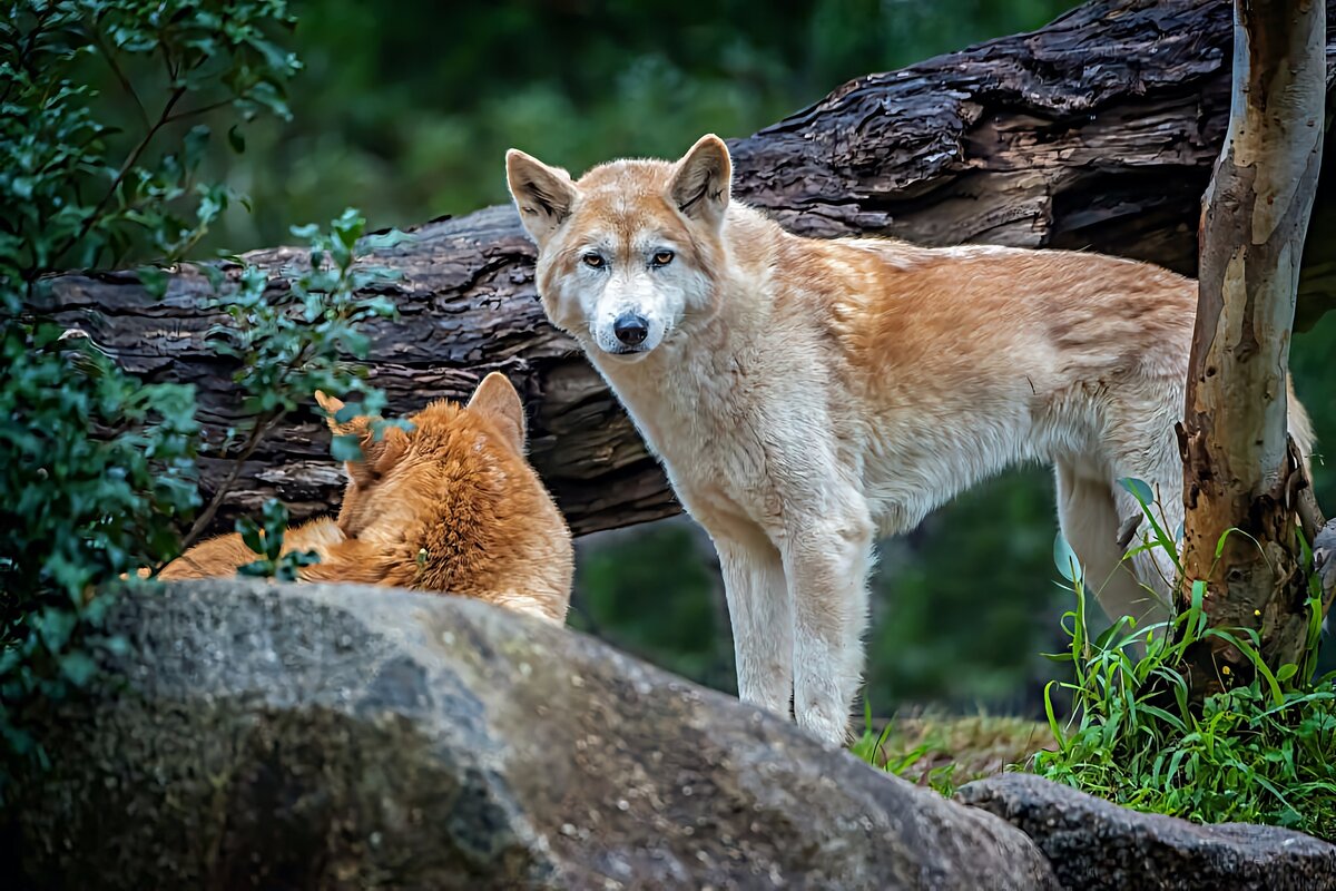 Такое воспитание — не хуже кадетского училища!