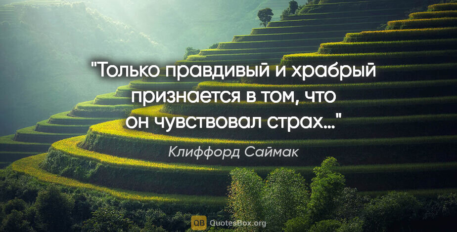 Яндекс.Картинки