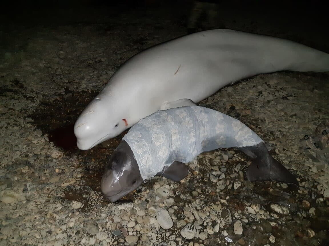 -2
