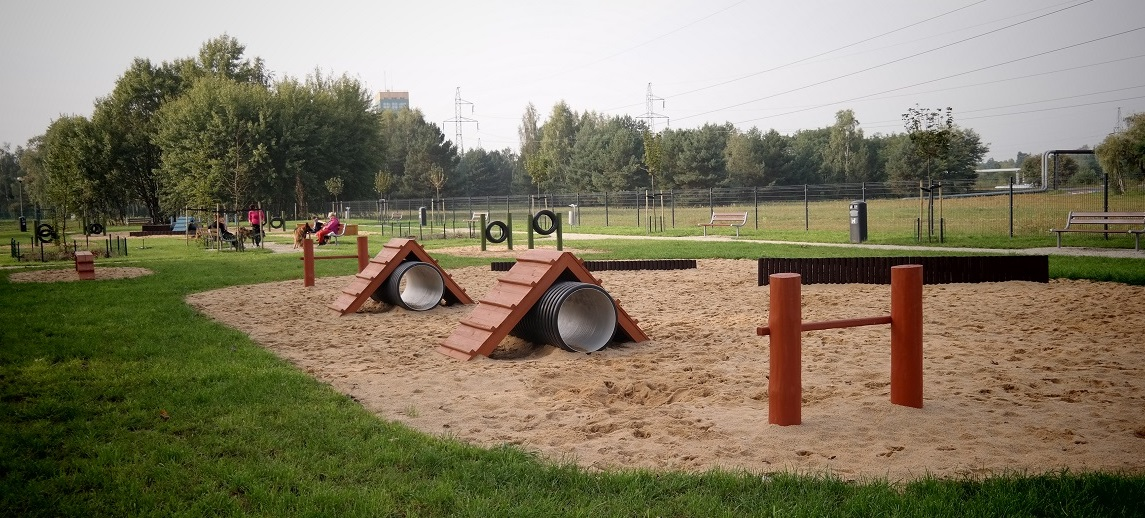 Или площадок для такой. Игровая площадка для собак. Дизайнерские площадки для собак. Покрытие для собачьей площадки. Площадка для выгула собак.
