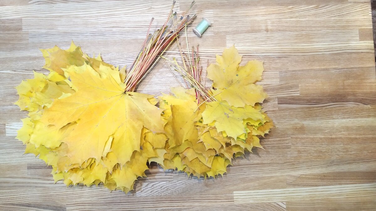 Осенние кленовые листочки