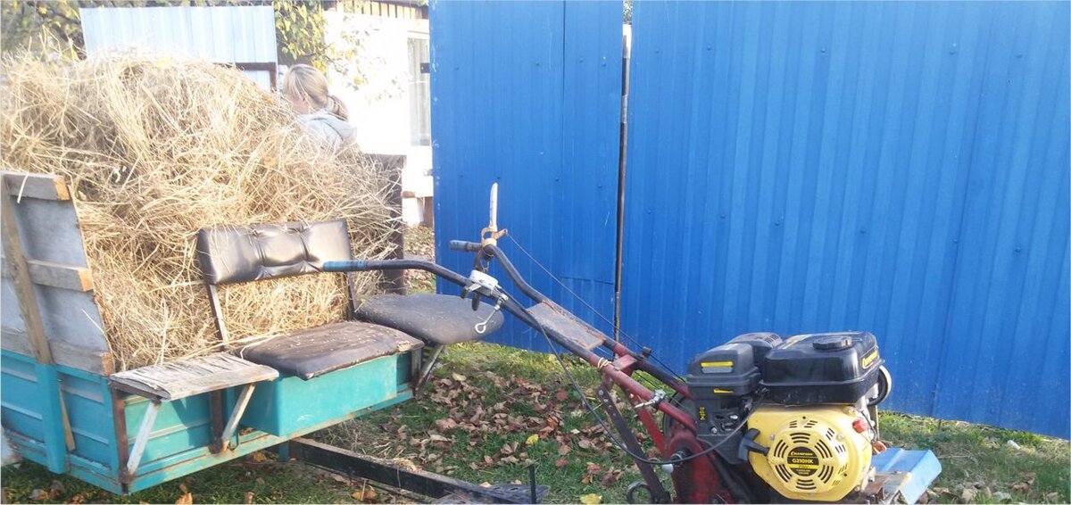 Возим сено на нашем мотоблоке с прицепом. Фото автора