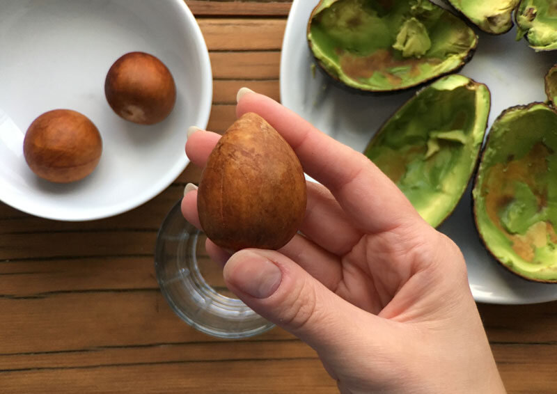 От косточки плода до целого дерева: как вырастить авокадо дома