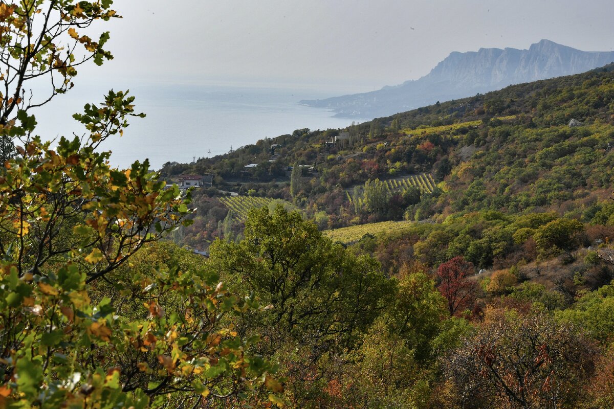 Осень в Крыму дзен