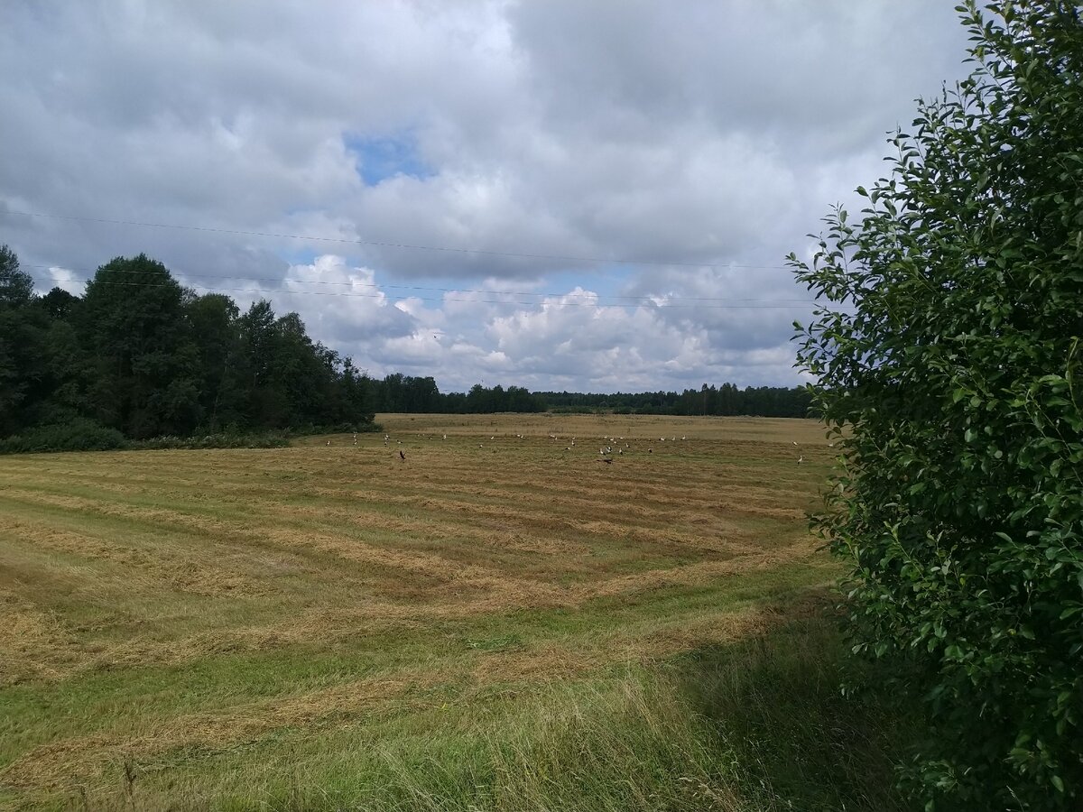 Наши просторы