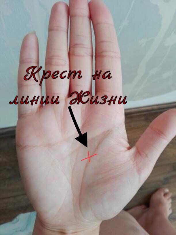 ФОТО ХИРОМАНТИЯ ЯНДЕКС