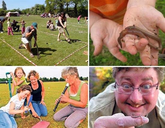 Заклинание червей