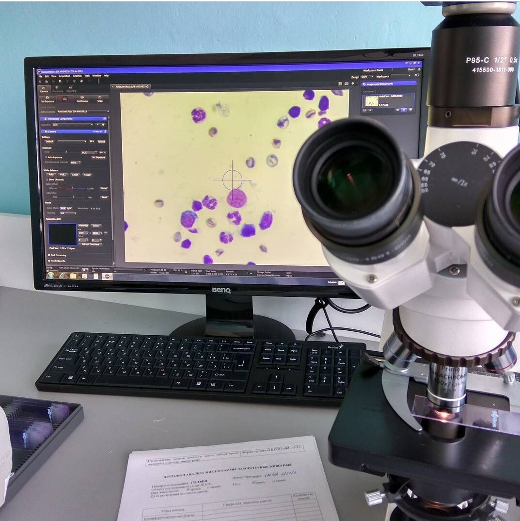 Фото с работы автора