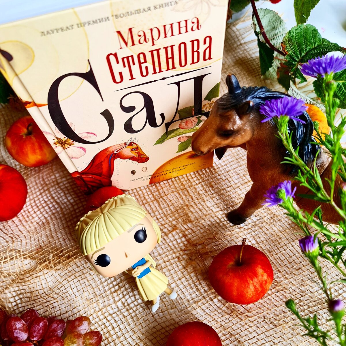 Лучшая книга 2017. Степнова Марина "сад". Топ книг для осени. Октябрь книги. Степнова сад обложка.