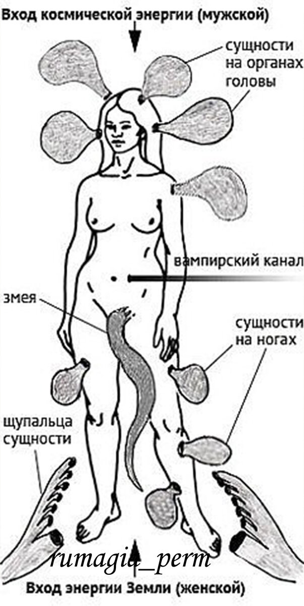 В сексологии нет понятия 