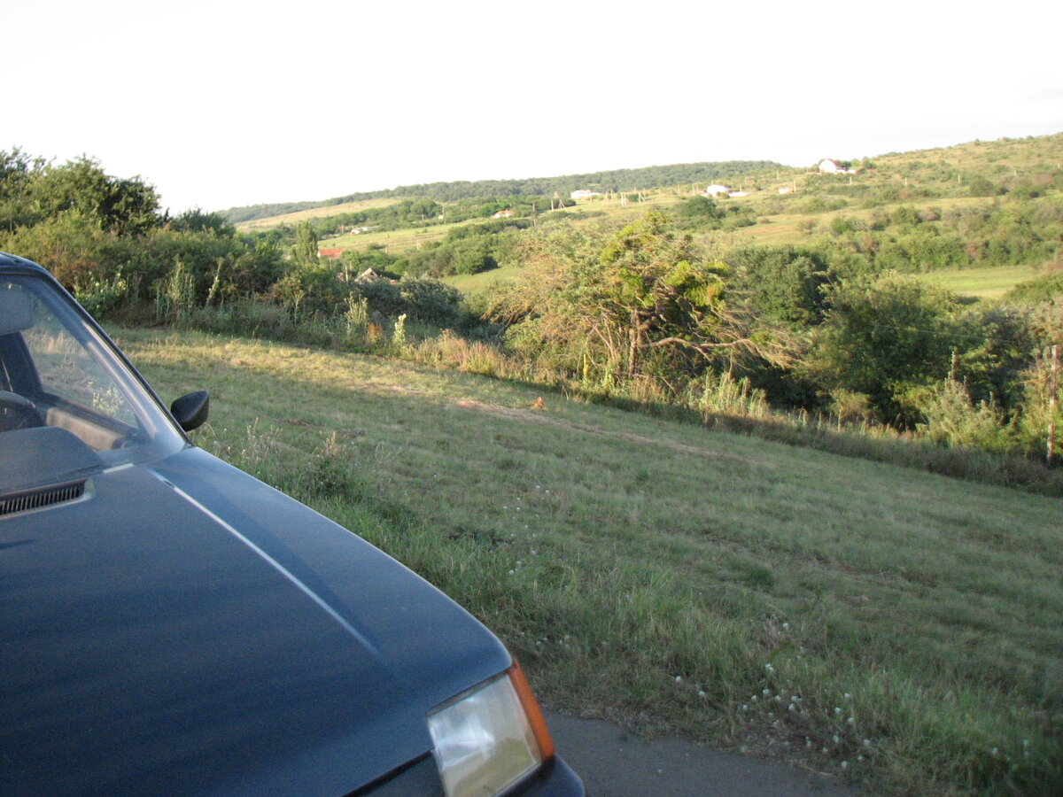 Лисят не пугала ни машина, ни человек рядом с ней...