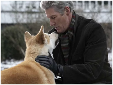 кадр из фильма "Хатико"