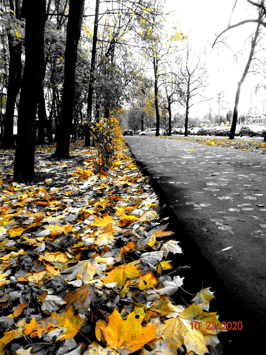  Из личного архива