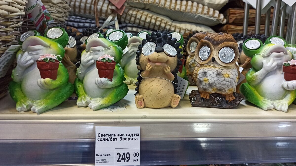 Авторское фото