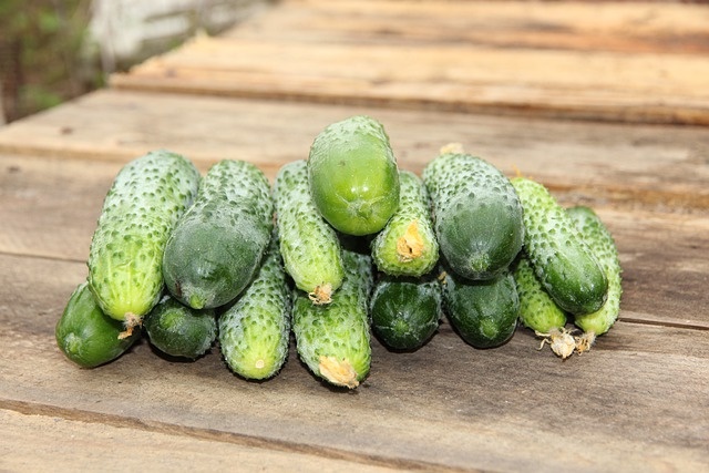 Фото: https://pixabay.com/