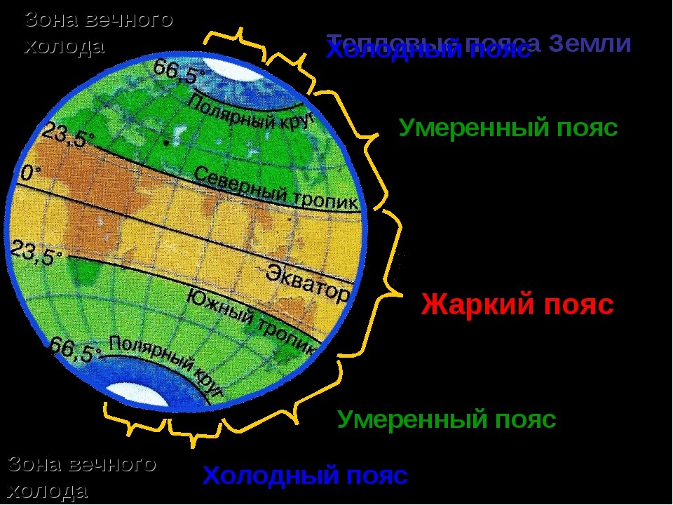 Экваториальные широты. Пояса земли. Тепловые пояса земли. Жаркий тепловой пояс. Умеренный тепловой пояс.