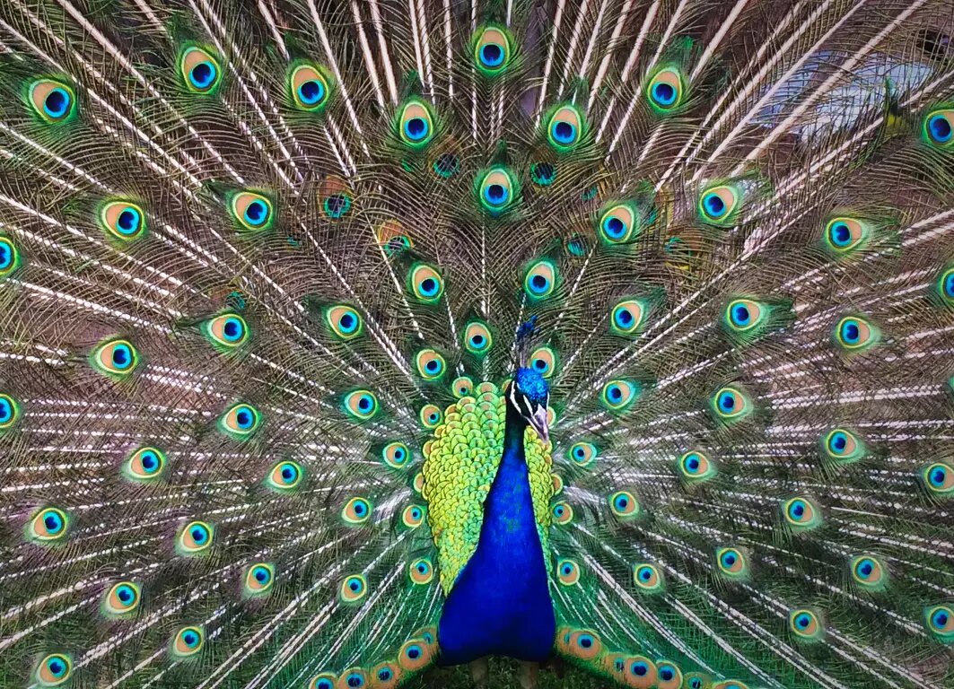 источник unsplash.com