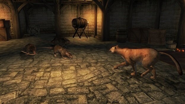 Подвал Арвены Телас