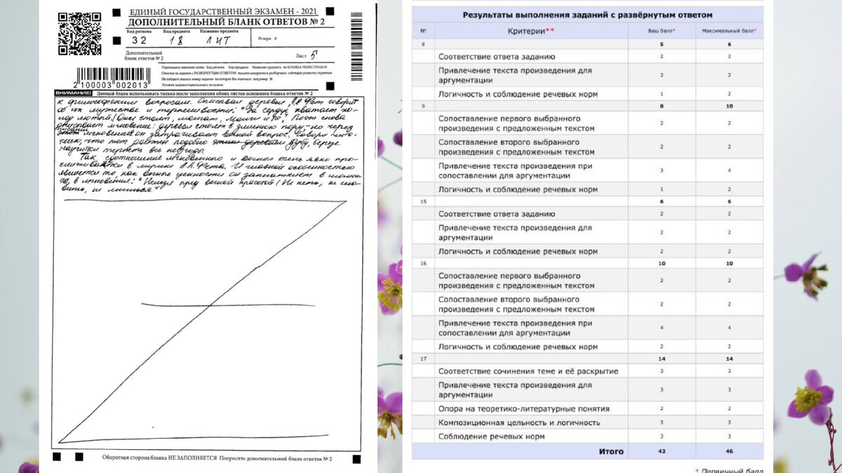 Скрин 3 страницы сочинения №17 Анны и ее результатов