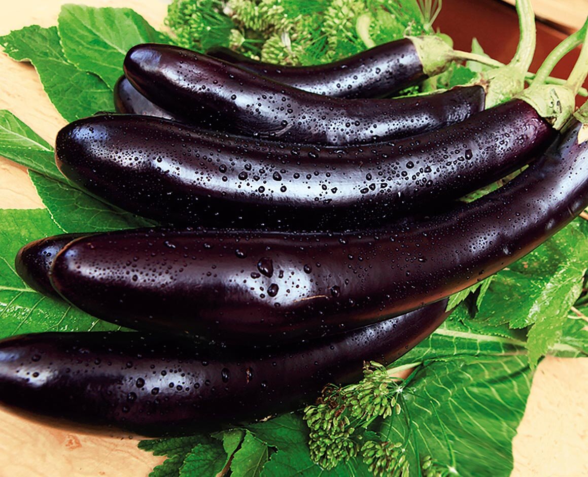 Яндекс.Картинки