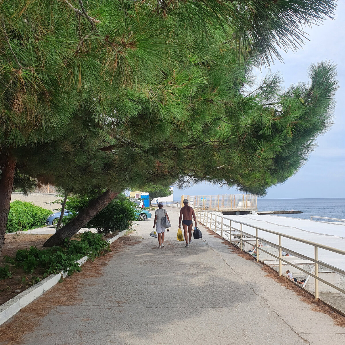 Фотогалерея: территория, номера, пляж в Алуште фото | Санатория Киев