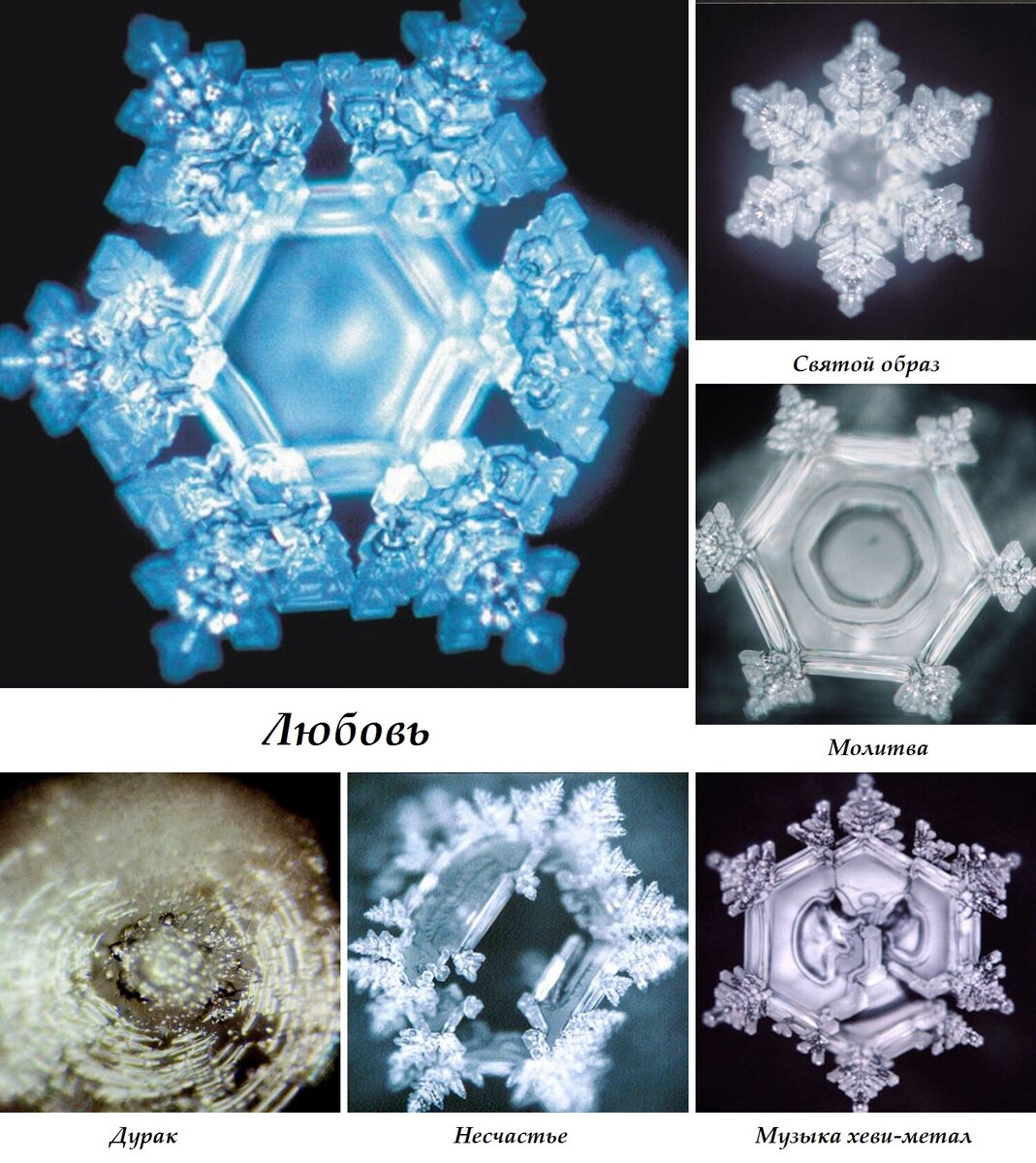 Результаты более чем подтвердили теорию