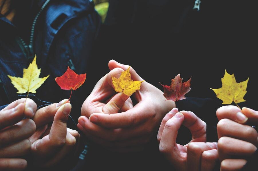 Фото: pixabay.com 