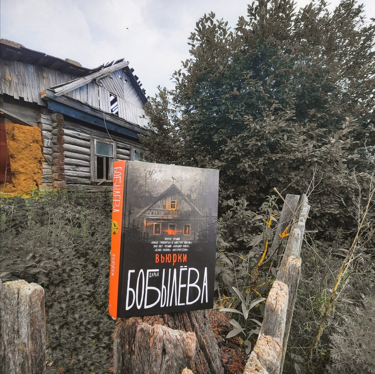 Фото взято из моего личного аккаунта в Instagram @shegoleeeek