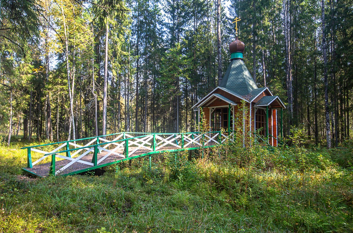 Часовня святого Николая у истока Западной Двины. Пеновский район Тверской области. Фото автора статьи 