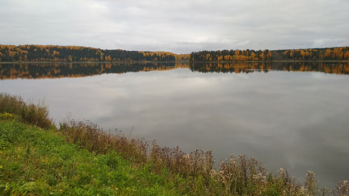 Осенний водоем. Краски осени.