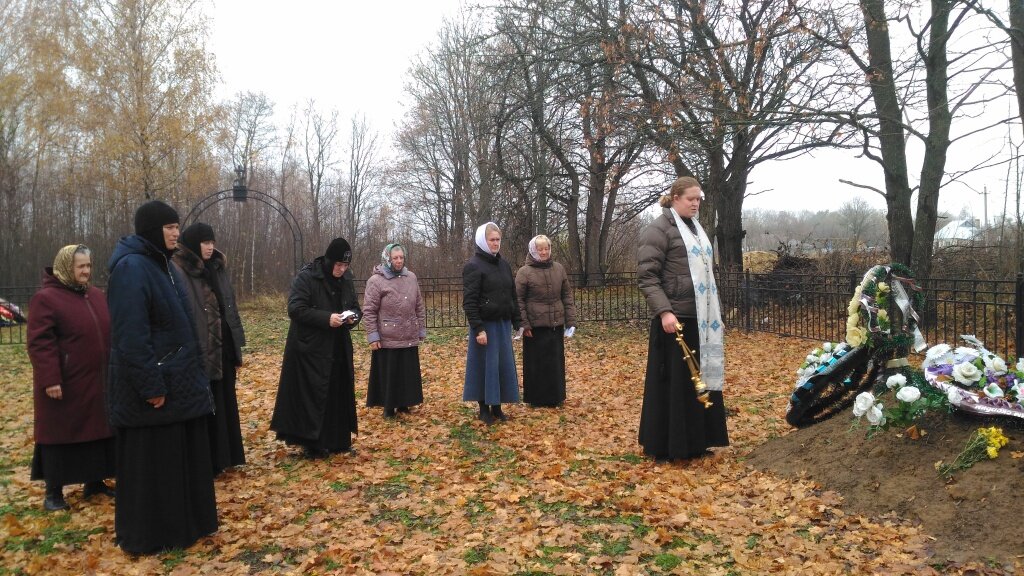 фото из интернета