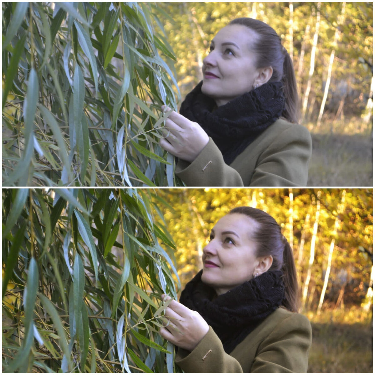 Коллаж автора
Сверху - до, снизу - после