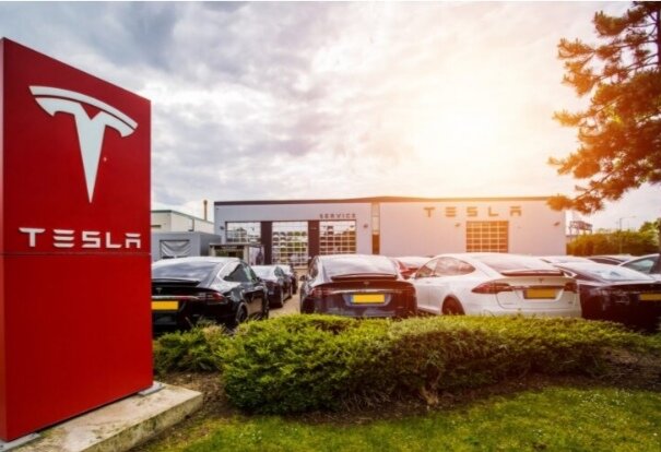 Фото яндекс картинки 