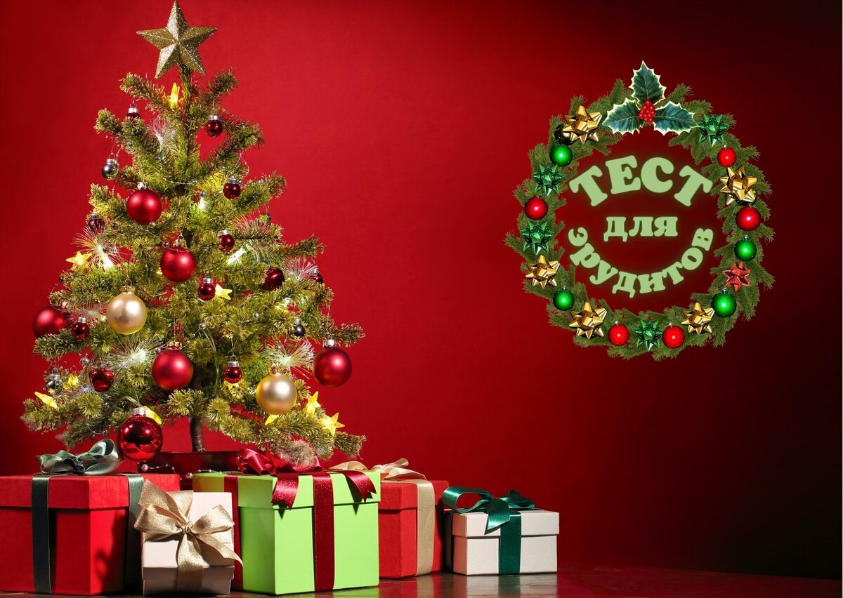 Источник изображения: pixabay.com, фото - Pexels, дизайн автора публикации