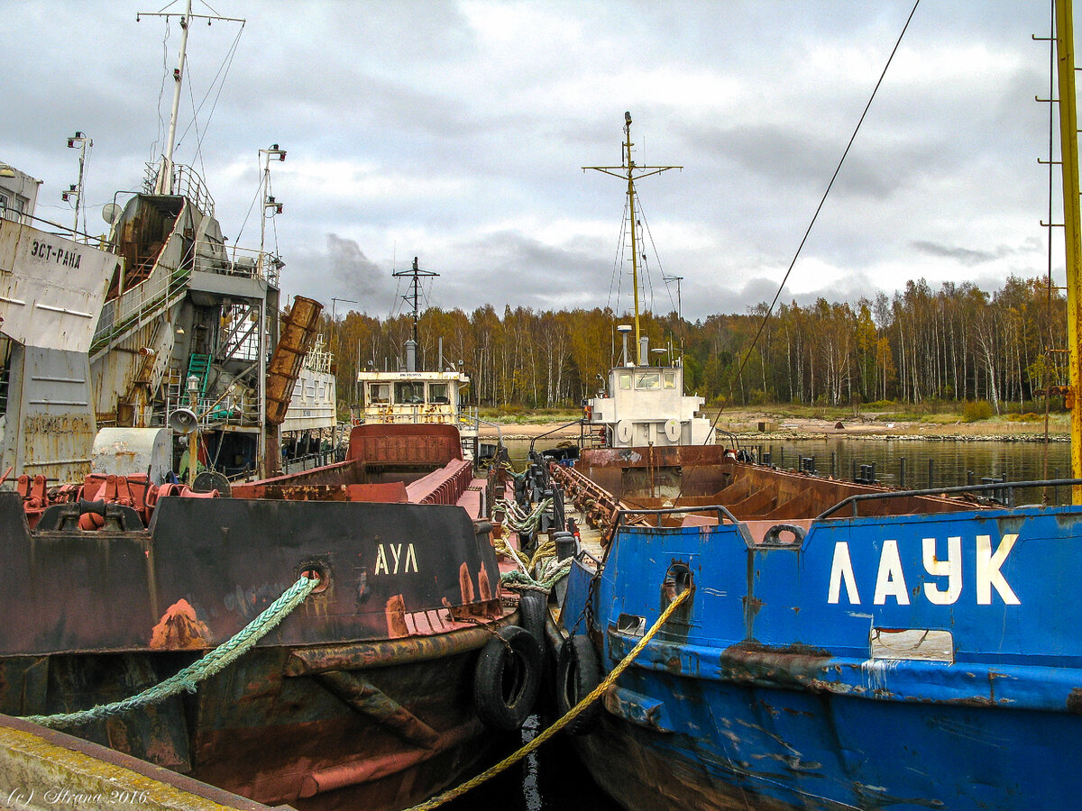 Три корабля, мне нужен самый левый