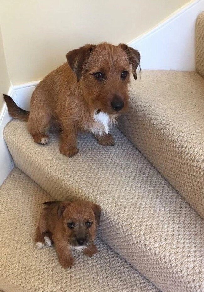 Масштаб изменили прост