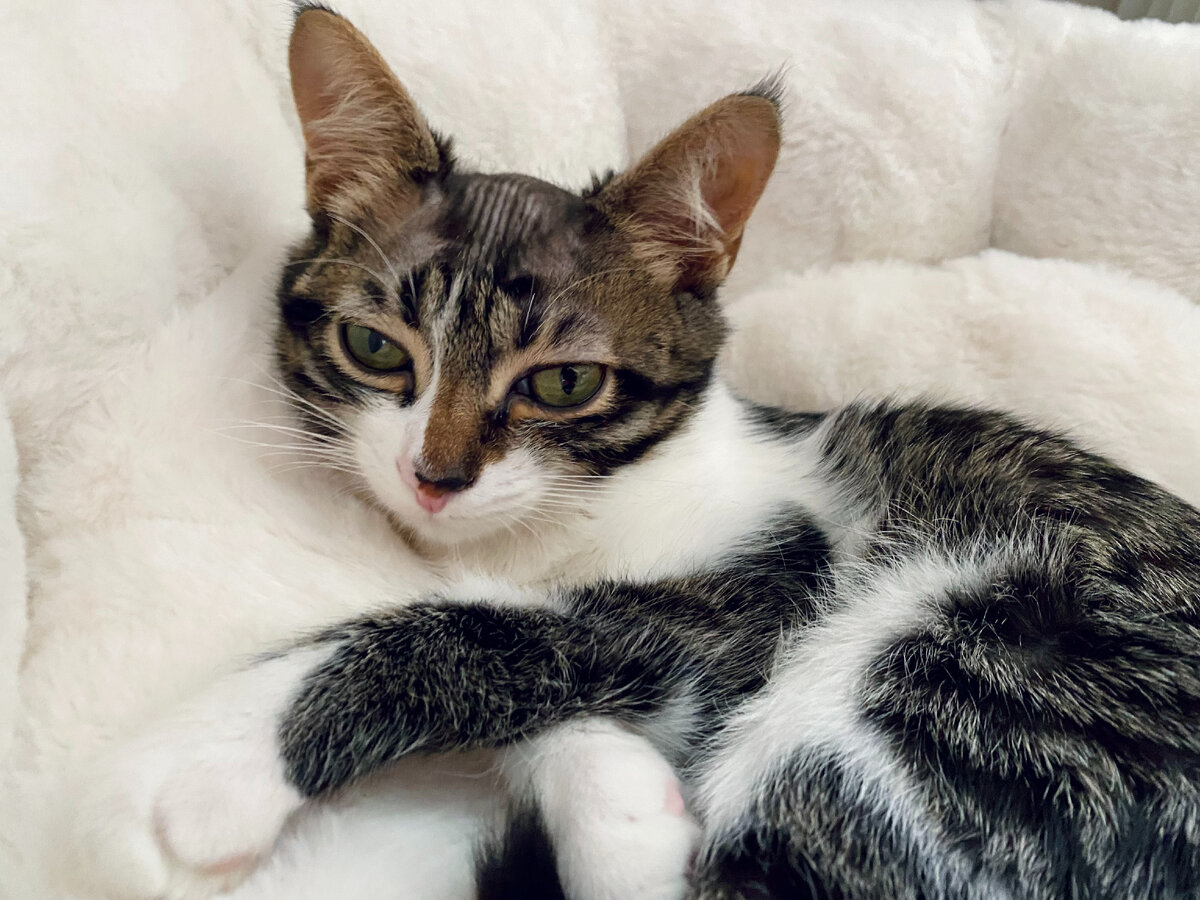 Малыш только проснулся