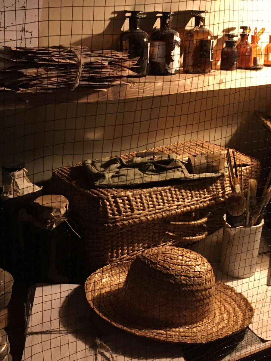 Экспонаты выставки