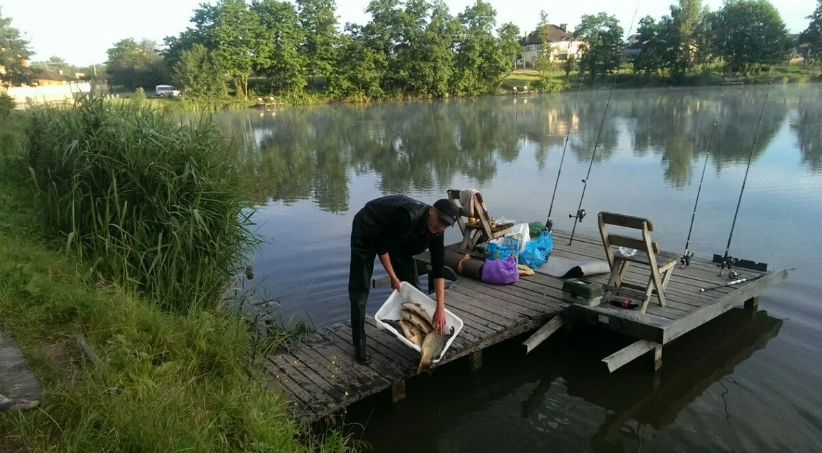 Фото из открытых источников "Яндекс картинки"