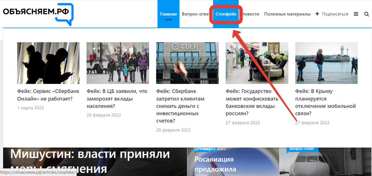 Фото автора)