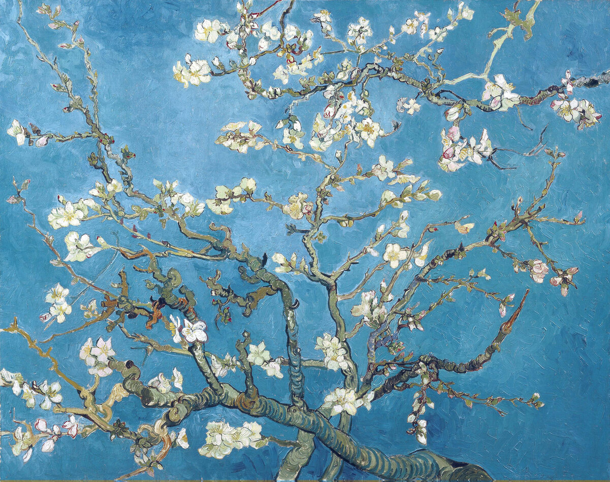 Цветущий миндаль. Холст, масло. 73.5 x 92.0 см.  Винсент Ван Гог. 