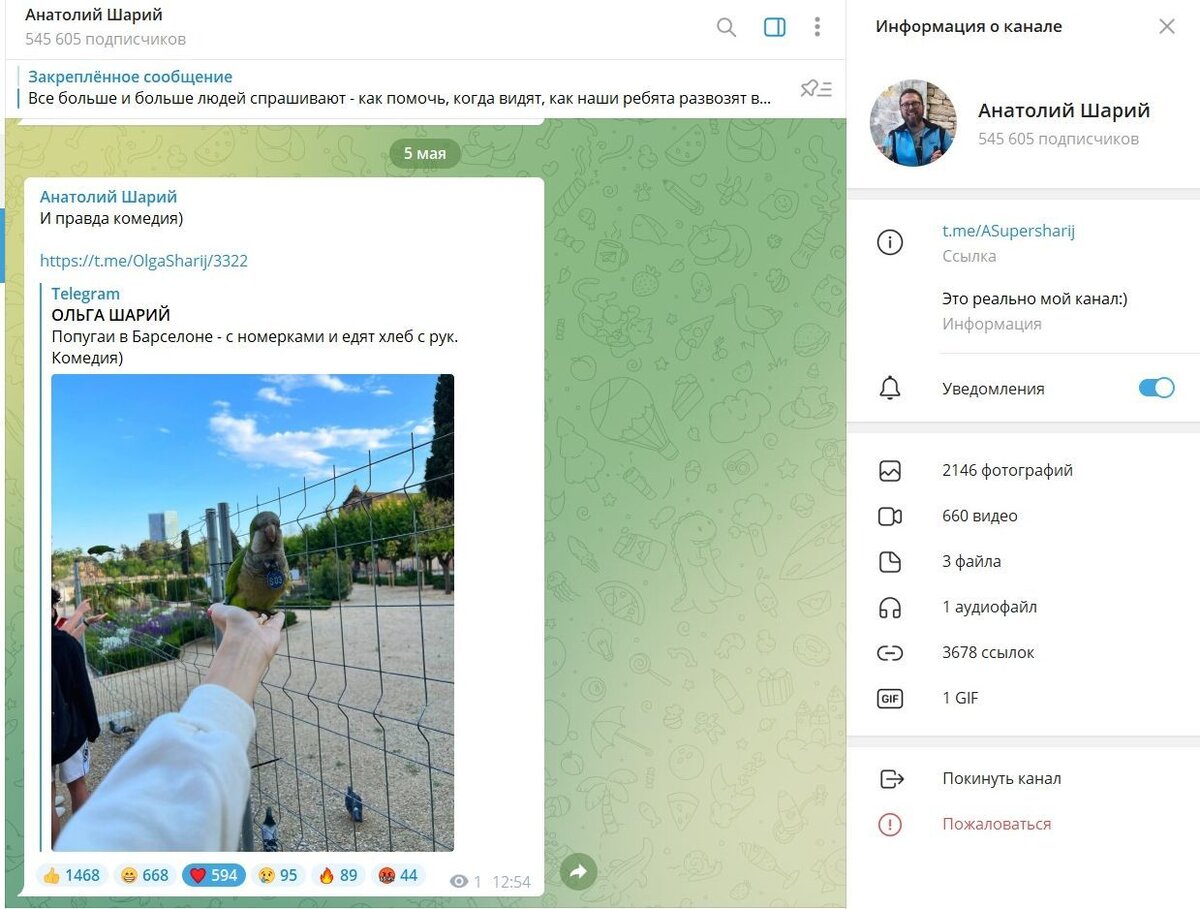 Sharij telegram. Шарий телеграмм канал.