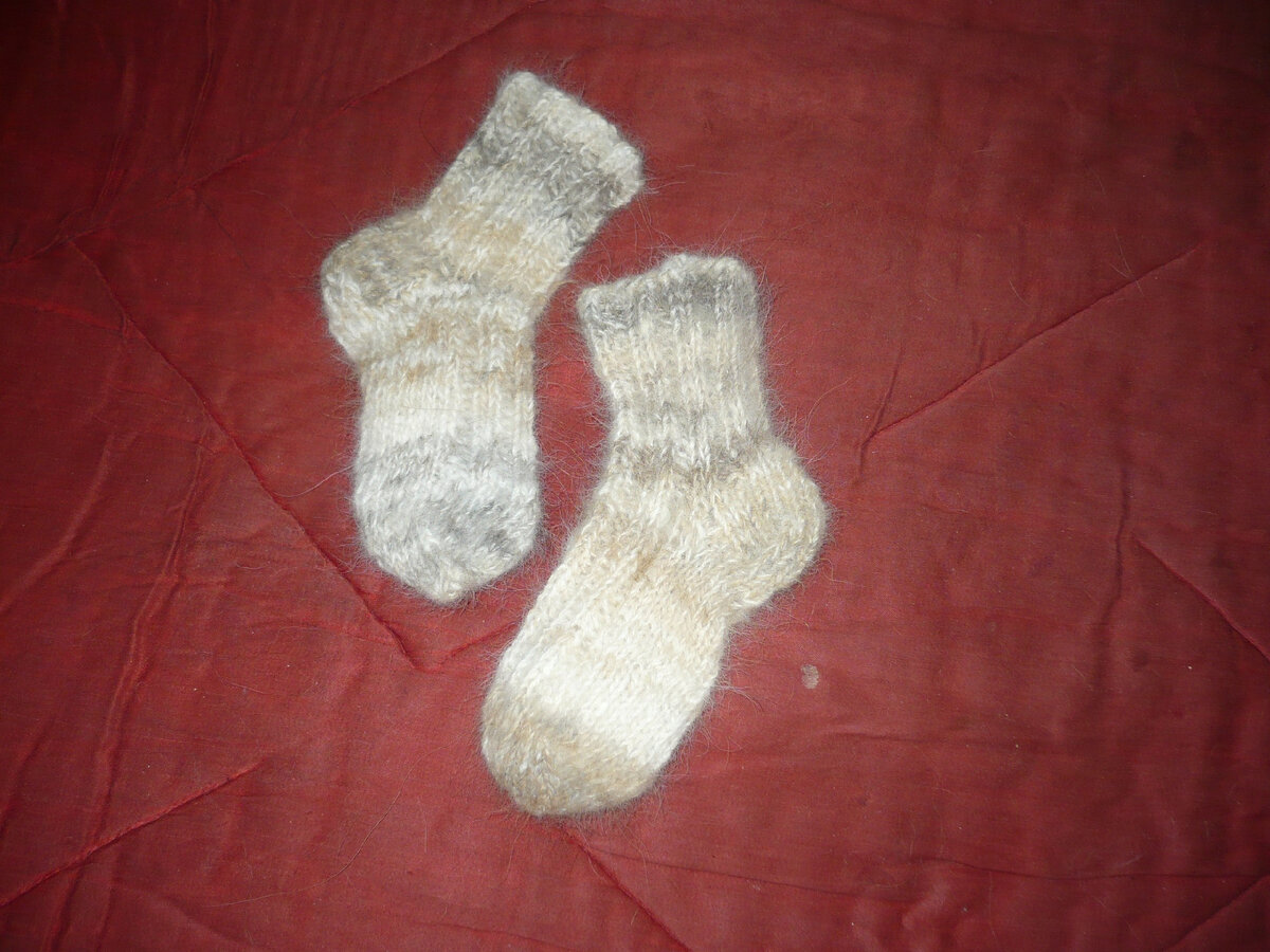 Носки из собачьего пуха. Фото из личного архива.